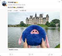 刚用亮点自寻、敬请等候做为案牍